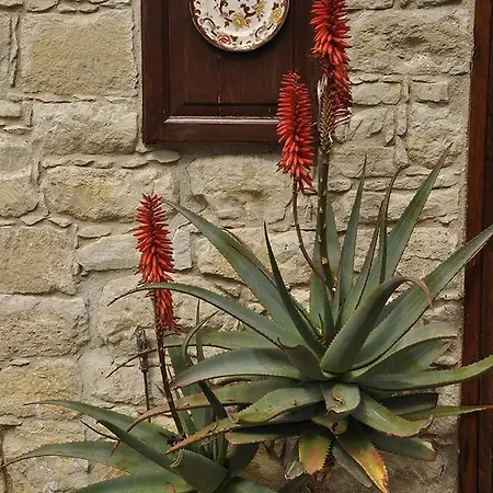 The Palace Country House * Agios Amvrosios (Limassol)